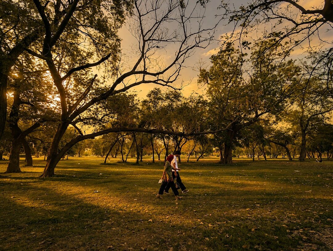 single parent with child in park